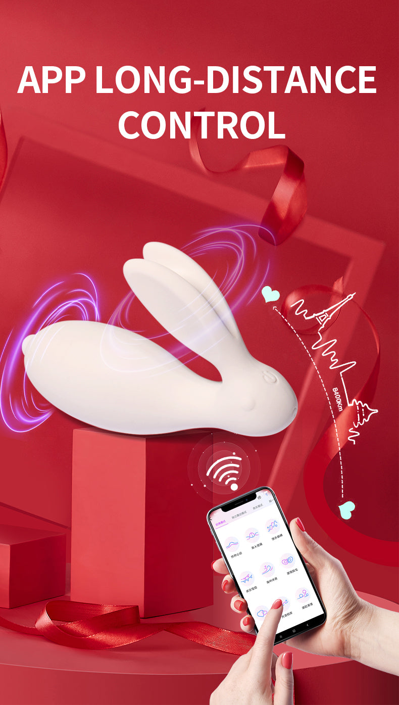 Passion Rabbit Bluetooth controlled wearable vibrator,vibrator,couples pic