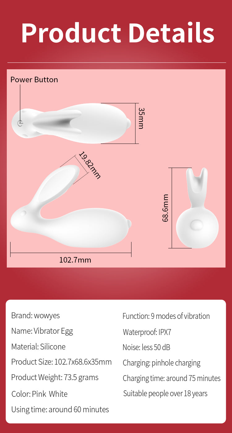 Passion Rabbit Bluetooth controlled wearable vibrator,vibrator,couples